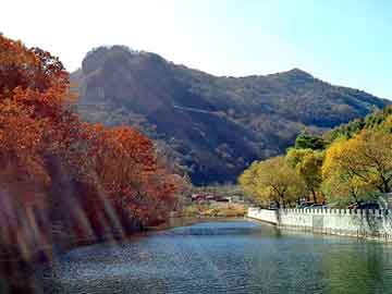 新澳天天开奖资料大全旅游团，沈丘seo外包